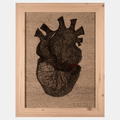 Healing is a biological process I by Alejandra Coz Rosenfeld, 2024