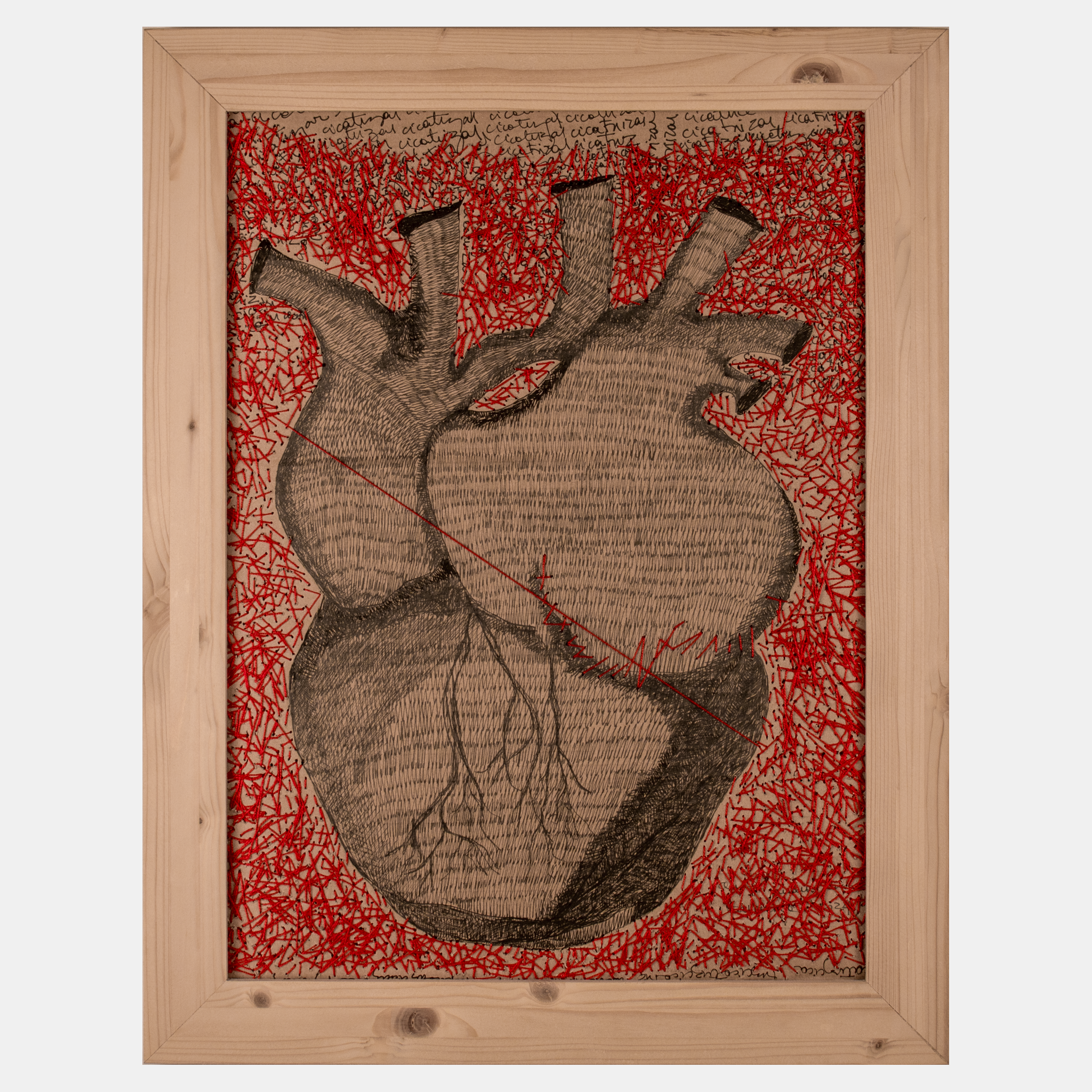 Healing is a biological process II by Alejandra Coz Rosenfeld, 2024