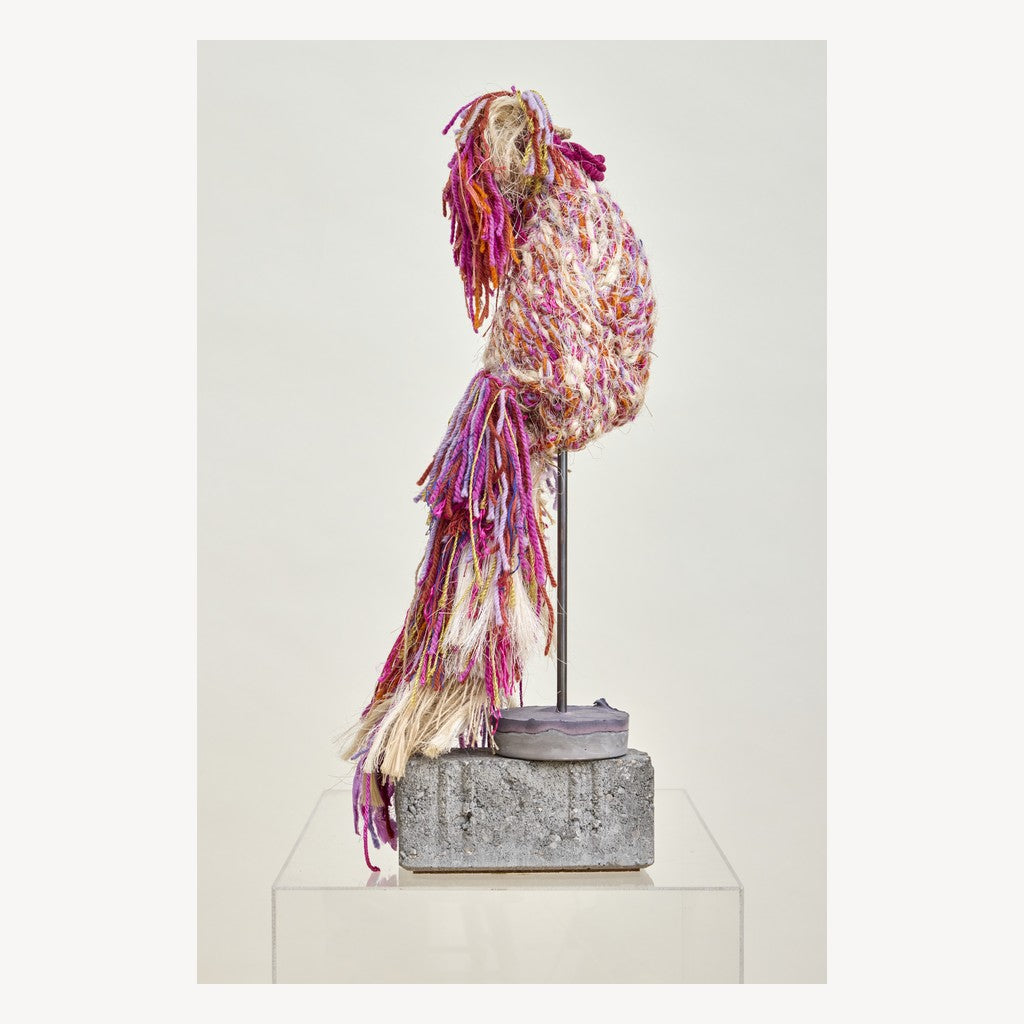 Ave Real by Alexandra Navas, 2024