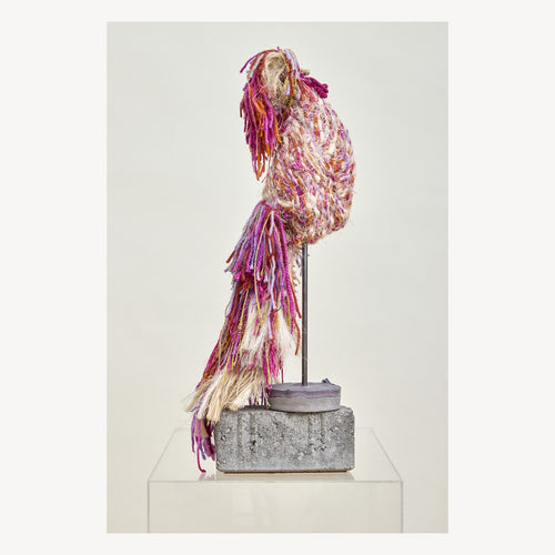 Ave Real by Alexandra Navas, 2024