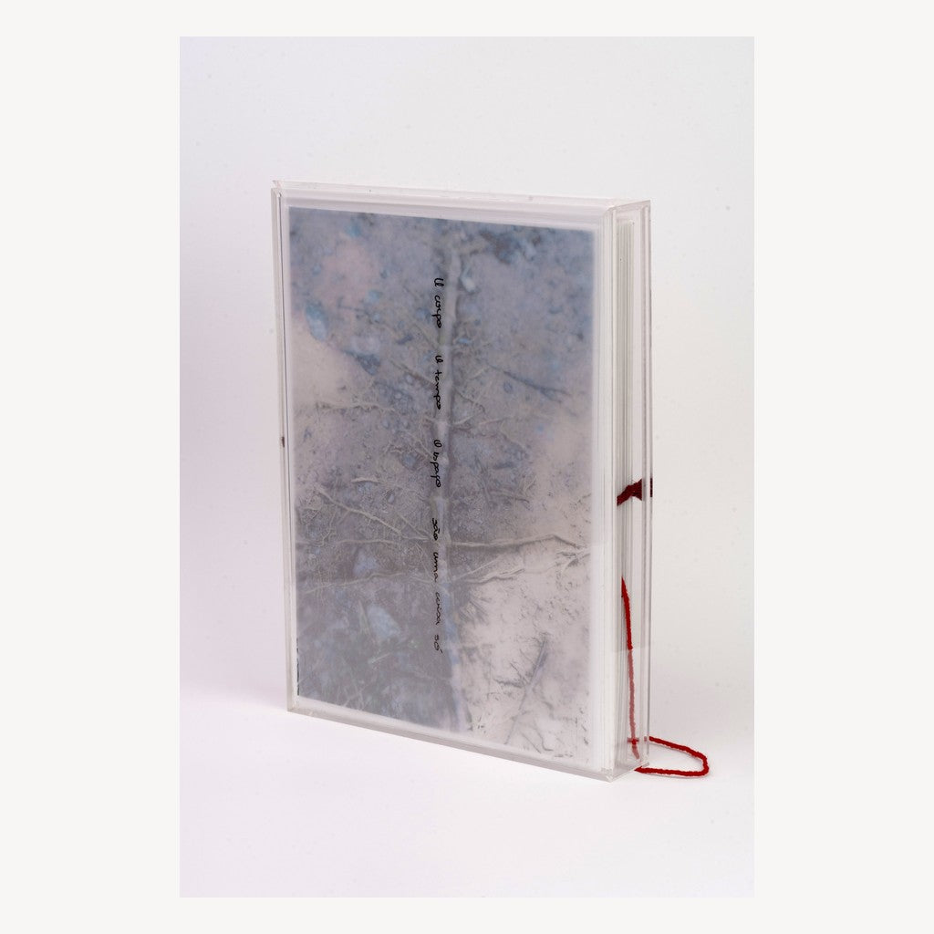 Inspiration by Joana Mattei, 2022 - Image 2